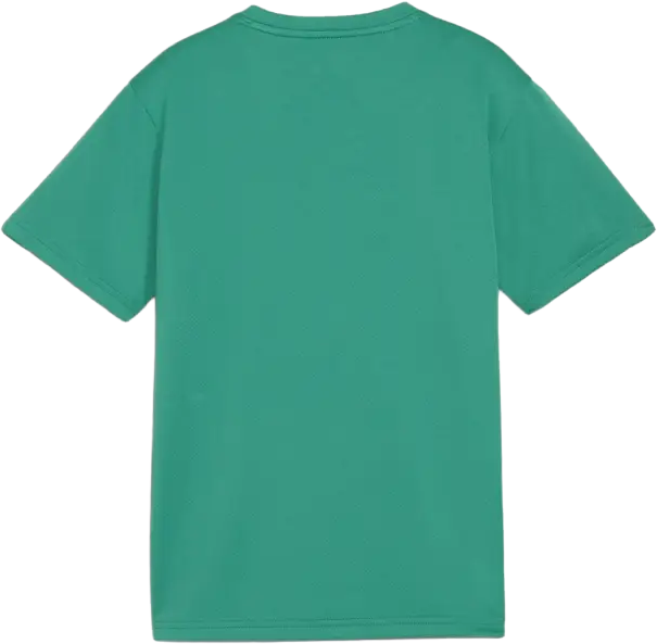 puma-trainingsshirt-25/26-kinder-training