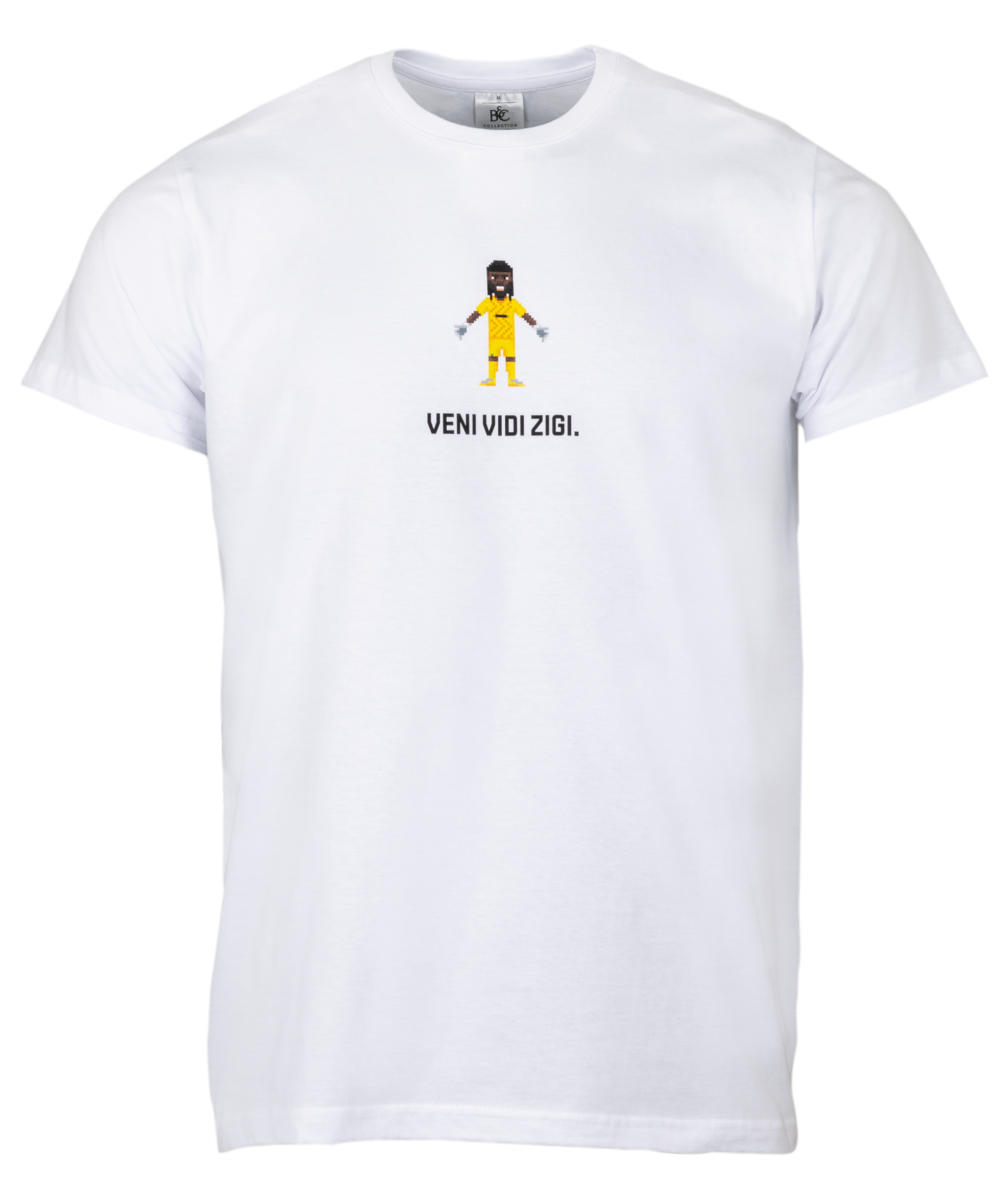 Veni Vidi Zigi Shirt