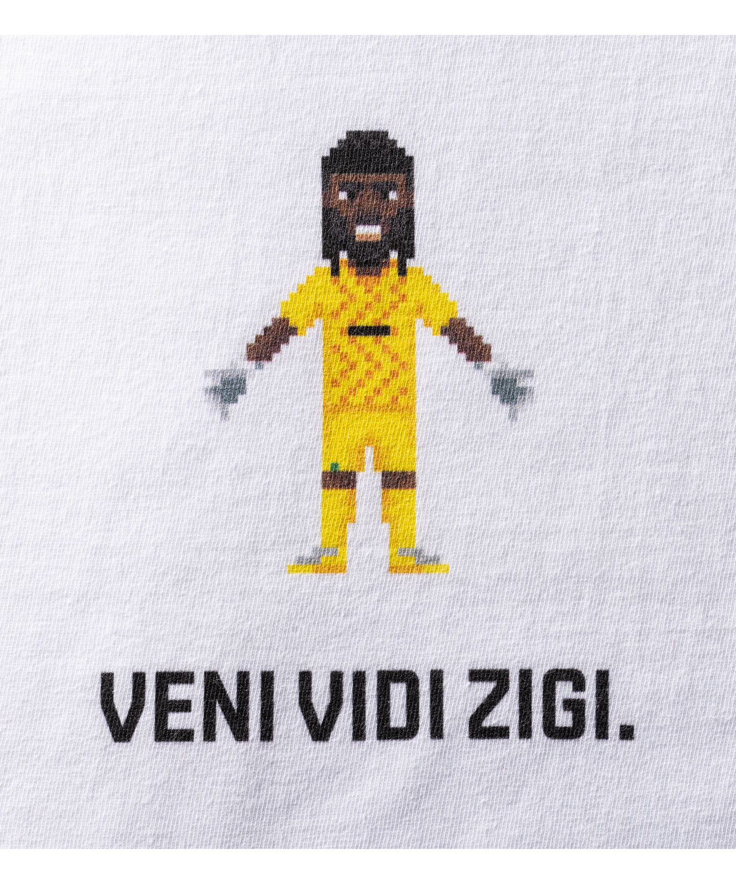 Veni Vidi Zigi Shirt