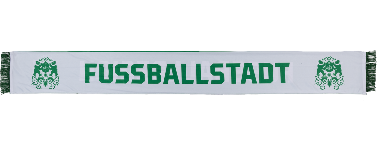 Polyschal Fussballregion